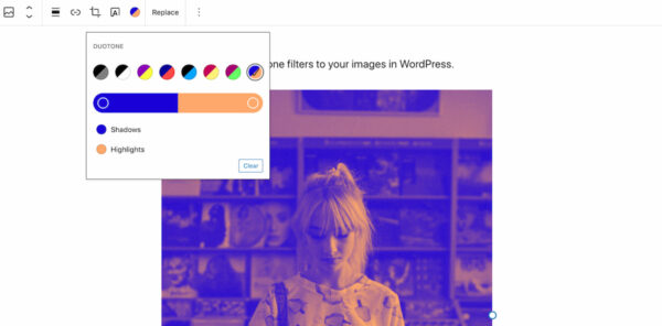 WordPress 5.8: adding a duotone filter to your image